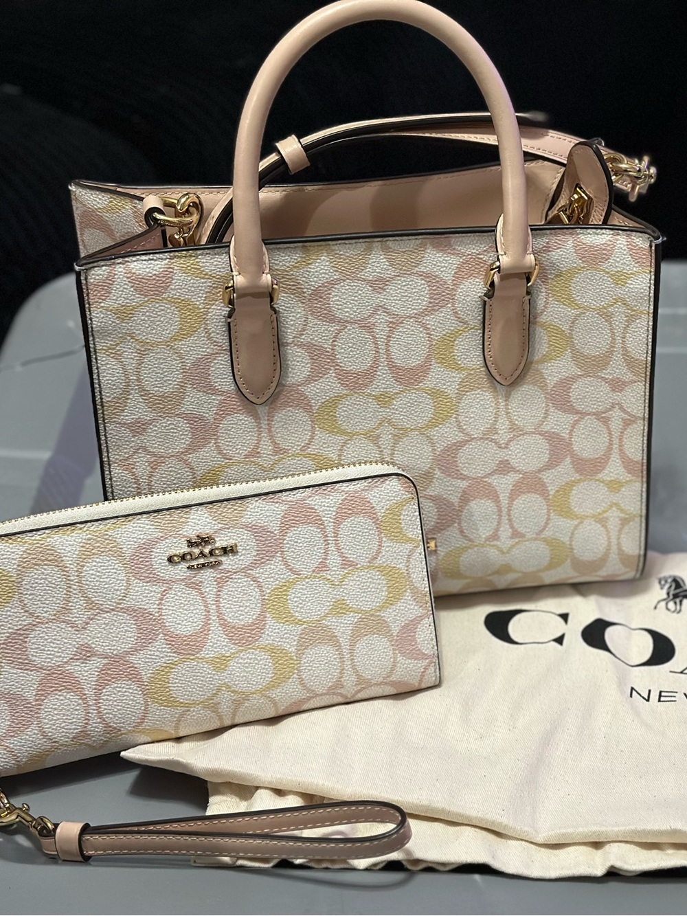 Coach Outlet Maggie Small Tote Bag In Signature Canvas